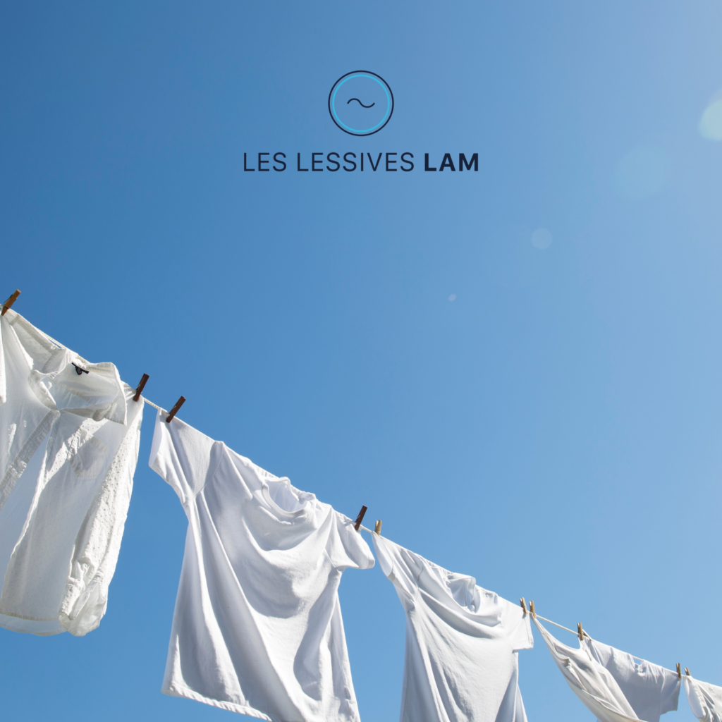 developpement-ecommerce-lessivelam