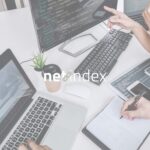 Netindex